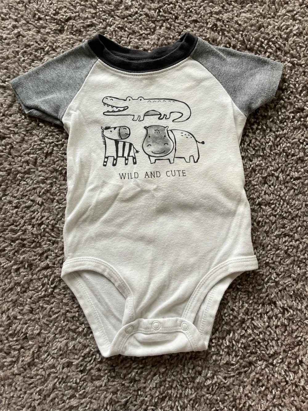 Mixed Baby Boy Bodysuit Lot - Dinosaurs, Stripes & Trucks - Multi